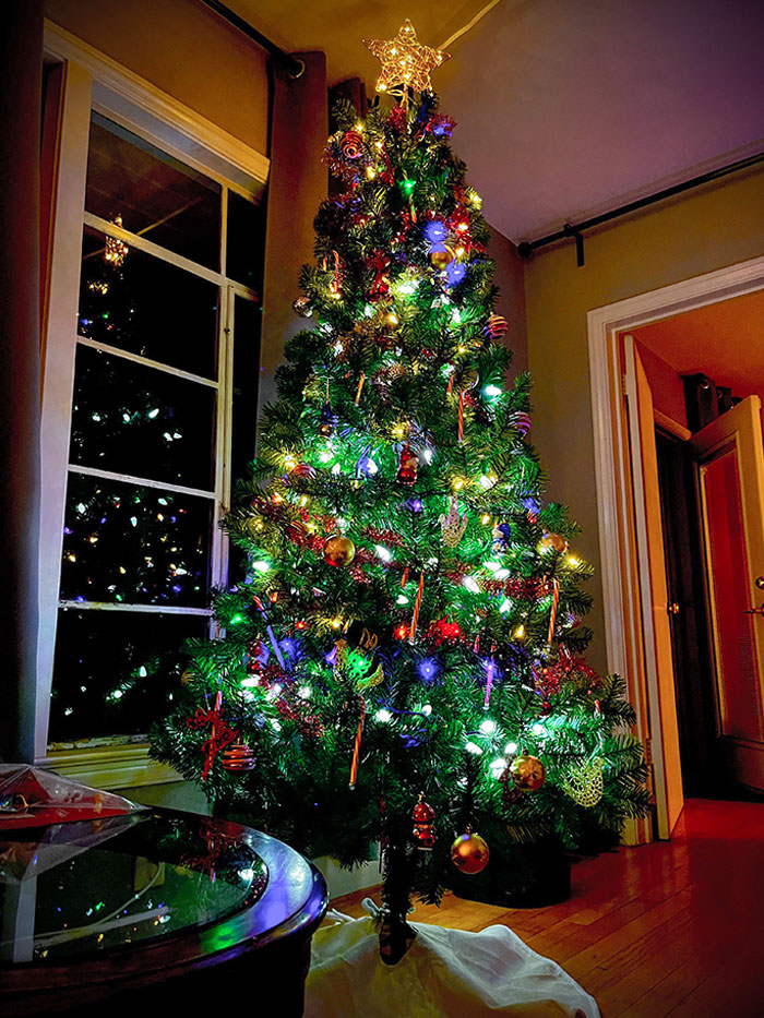 After Two Years Of Depression, I Got My First Tree As A Single Person. Merry Christmas To All