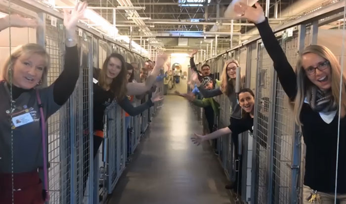 Colorado Animal Shelter Staff's Celebrates Inside Empty Cages After All Its Dogs Are Adopted In Time For Christmas