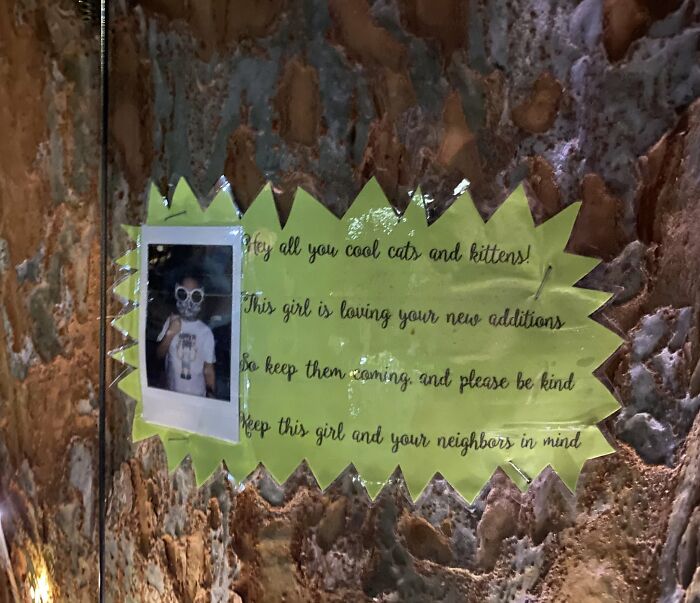 4-Year-Old Feels Lonely In Quarantine, Sets Up A Fairy Garden, Her Neighbor Notices And Pretends To Be A Fairy Named Sapphire For 9 Months 4-Year-Old Feels Lonely In Quarantine, Sets Up A Fairy Garden, Her Neighbor Notices And Pretends To Be A Fairy Named Sapphire For 9 Months