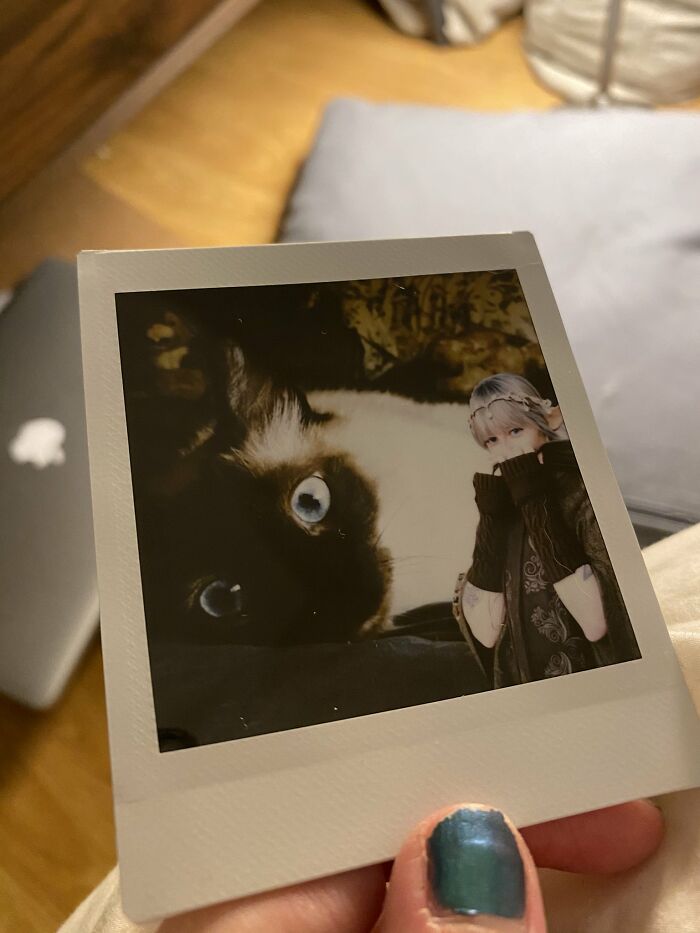 4-Year-Old Feels Lonely In Quarantine, Sets Up A Fairy Garden, Her Neighbor Notices And Pretends To Be A Fairy Named Sapphire For 9 Months 4-Year-Old Feels Lonely In Quarantine, Sets Up A Fairy Garden, Her Neighbor Notices And Pretends To Be A Fairy Named Sapphire For 9 Months