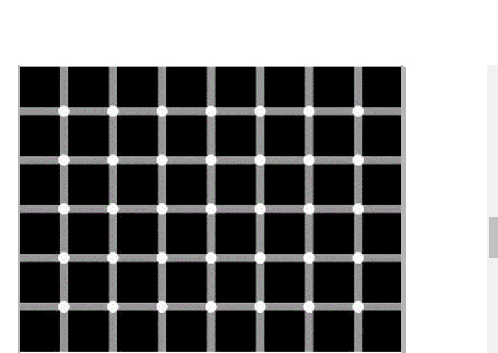 How Many Black Dots Do You See?