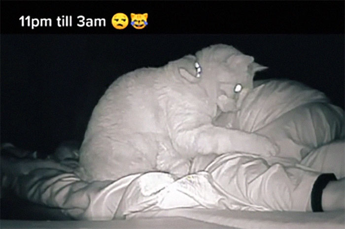 Woman Says She Always Wakes Up Tired, Sets Up A Camera To Witness Her Cat Constantly Tapping Her Body For 4 Hours Straight Woman Says She Always Wakes Up Tired, Sets Up A Camera To Witness Her Cat Constantly Tapping Her Body For 4 Hours Straight