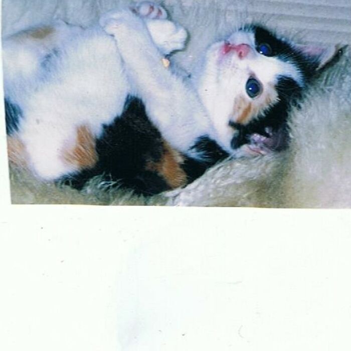 This Is Motti. Now 18 Years Old