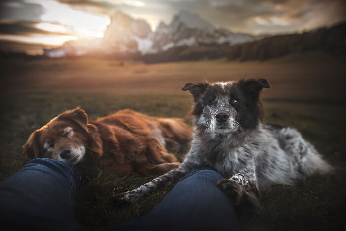 One Way Ticket To Paradise - I Will Take You On A Little Journey