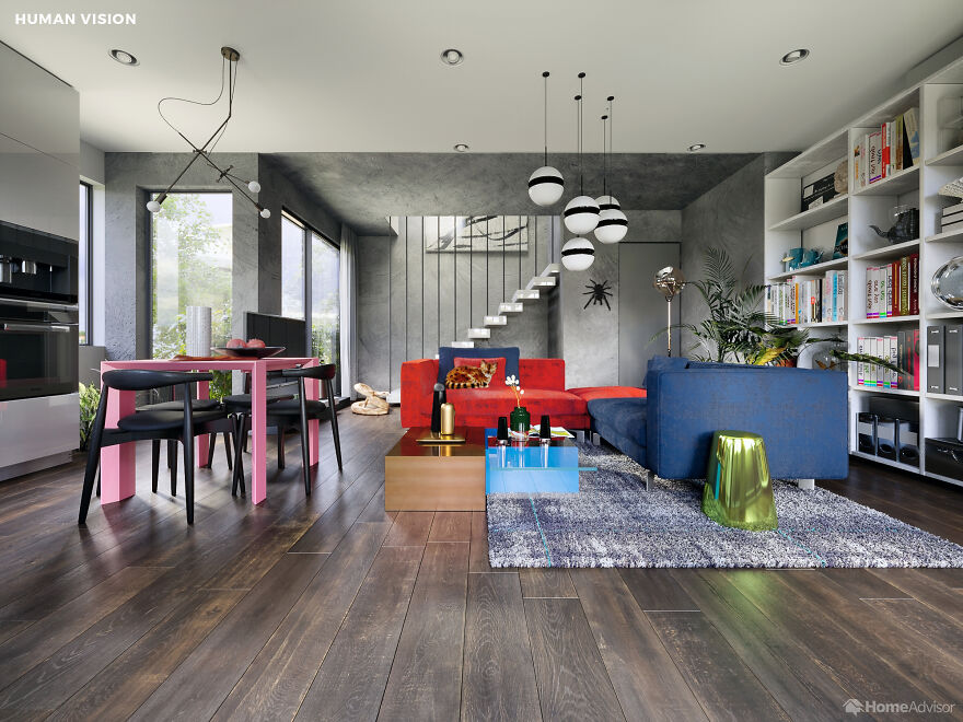 Here's How These 7 Pets See The World Around Them Here's How These 7 Pets See The World Around Them