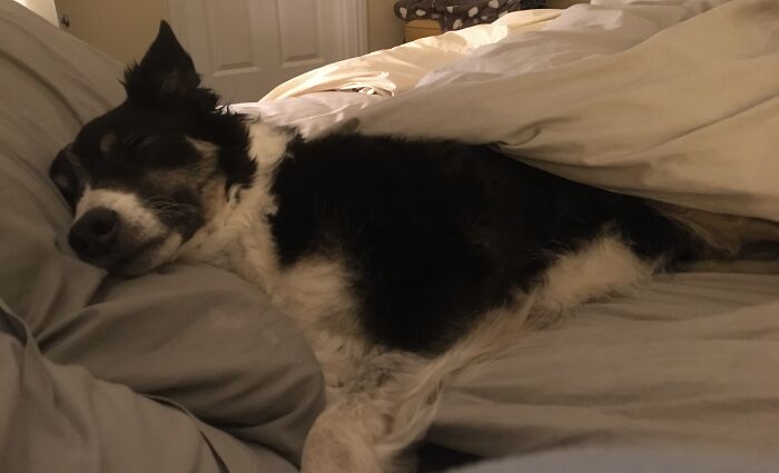 He Has His Own Pillow (And Side Of The Bed)