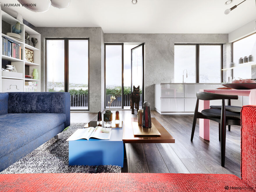 Here's How These 7 Pets See The World Around Them Here's How These 7 Pets See The World Around Them