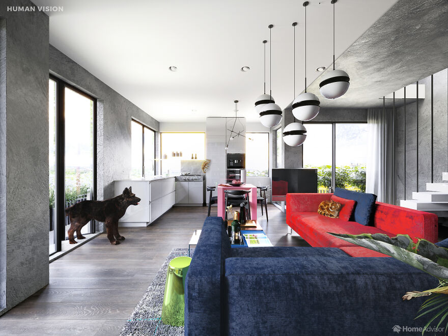 Here's How These 7 Pets See The World Around Them Here's How These 7 Pets See The World Around Them