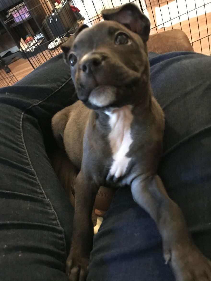 Thought You Guys Might Like Some Cute Animals :) Thought You Guys Might Like Some Cute Animals :)