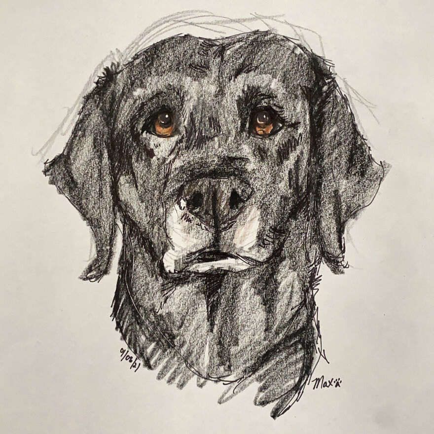 Pet Portraits For Charity