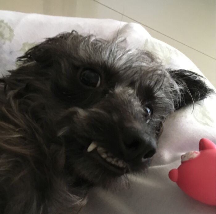 No I Wasn’t Doing Anything Wrong