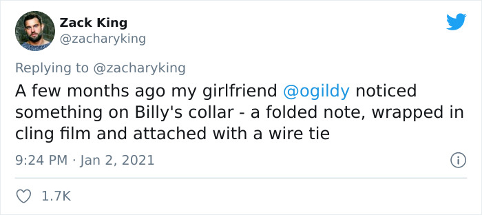 Cat Brings Its Parents A Note From The Neighbors He Visits, They Become Pen Pals With The Cat As Their Postman Cat Brings Its Parents A Note From The Neighbors He Visits, They Become Pen Pals With The Cat As Their Postman