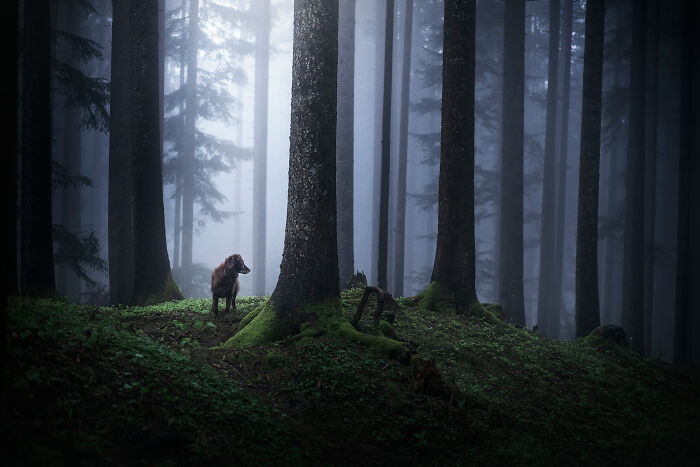 One Way Ticket To Paradise - I Will Take You On A Little Journey