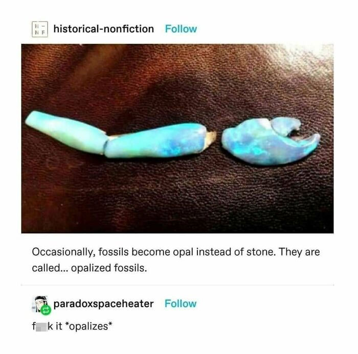 Literal Real Life Shiny