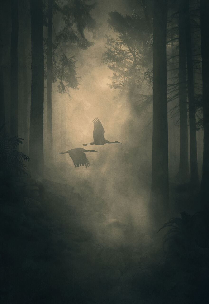 A Series Of Artworks Visualizing My Mental Journey Through Dark Times