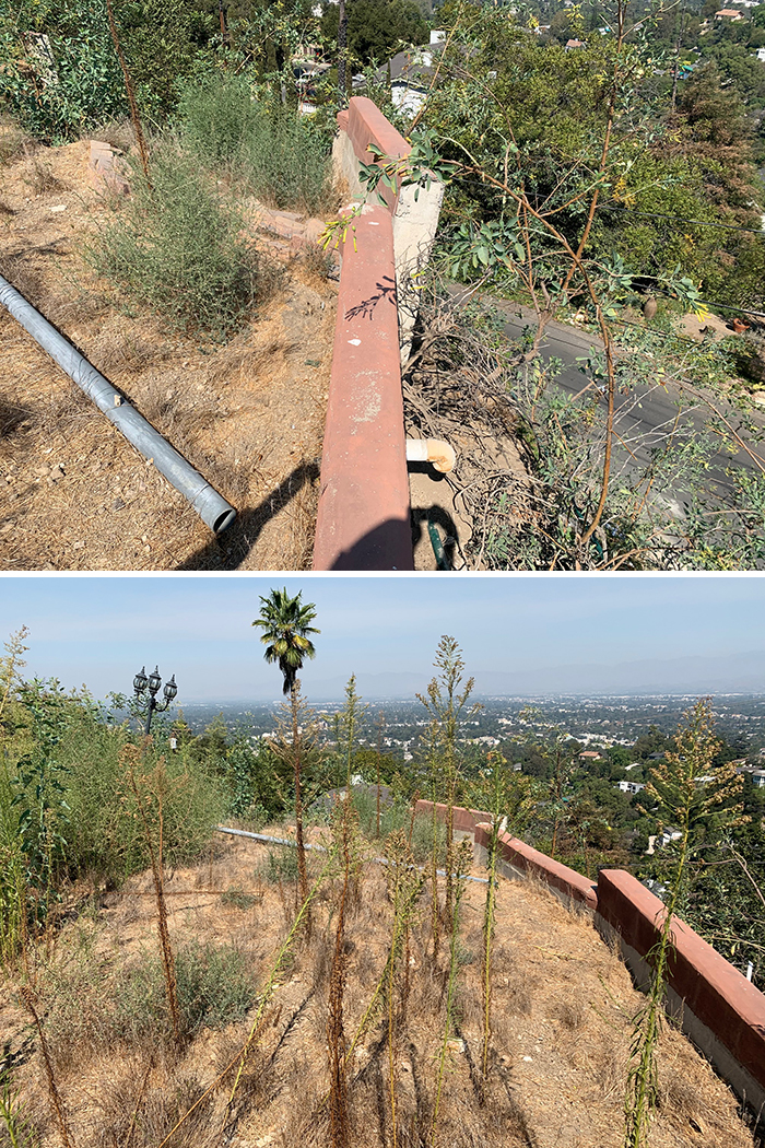 Horrible-Structural-Inspections