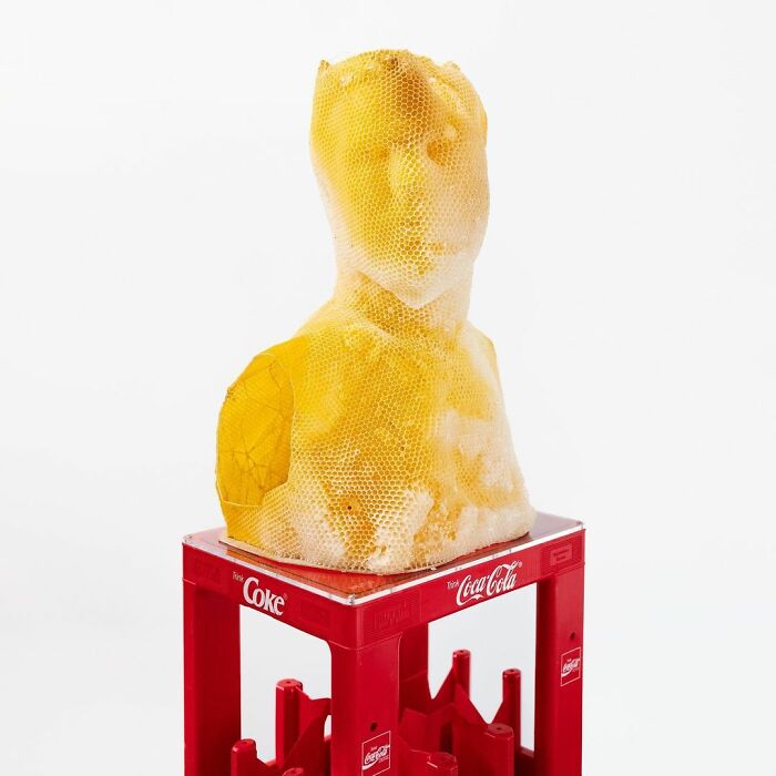 60,000 Bees Helped Create This Honeycomb Nefertiti Statue