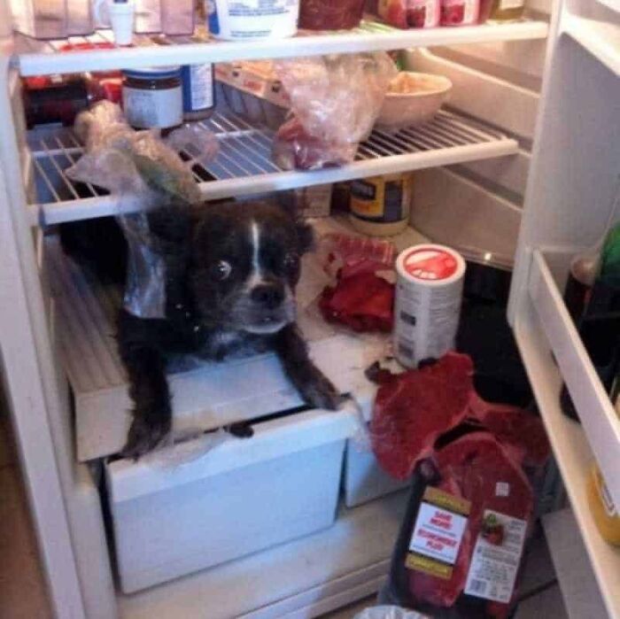 What I Come Home Too Lmao