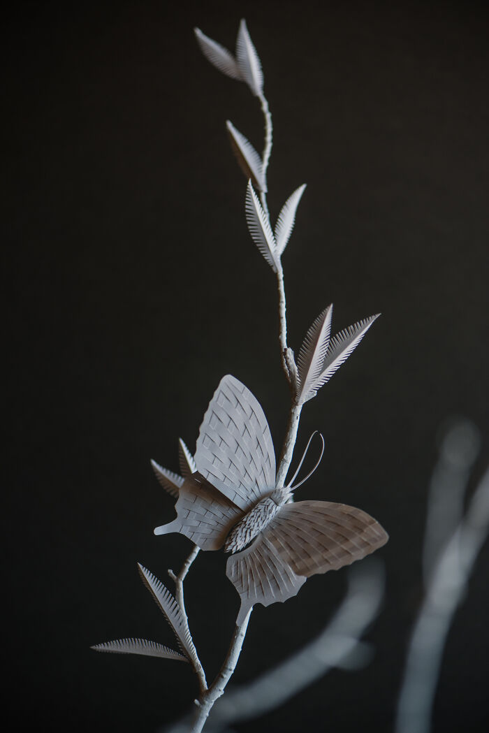 Paper Butterfly I Hand Cut During 2020 Pandemic Lockdown.