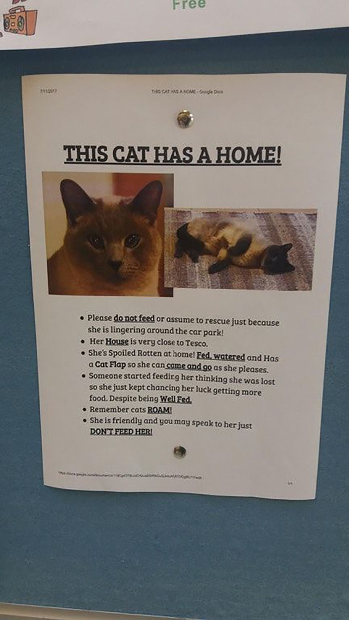 Funny-Cat-Notes-Warnings