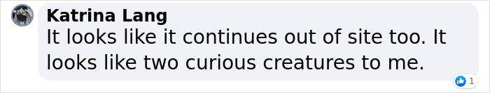 The Curious Incident Between An Owl And A Fox In The Night-Time Captured On Camera The Curious Incident Between An Owl And A Fox In The Night-Time Captured On Camera