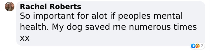 Delivery Driver Is Heartbroken By A Note From His Grieving Customer Looking For A Doggy Companion