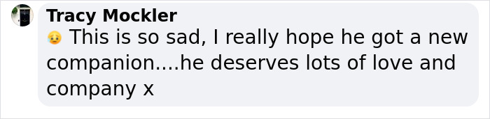 Delivery Driver Is Heartbroken By A Note From His Grieving Customer Looking For A Doggy Companion