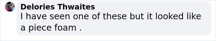 Photographer Happens Across A Bug That Looks Like A Piece Of Popcorn With Tiny Legs