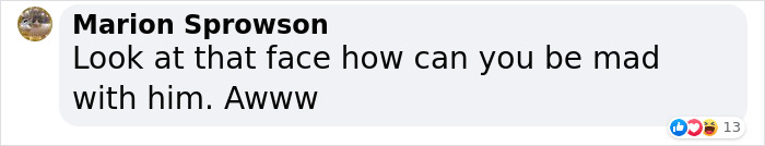 Corgi Gives His Owners And The Entire Internet A Mini Heart Attack After He Rolls Around In Red Syrup And Rests In The Mess Corgi Gives His Owners And The Entire Internet A Mini Heart Attack After He Rolls Around In Red Syrup And Rests In The Mess