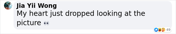 Corgi Gives His Owners And The Entire Internet A Mini Heart Attack After He Rolls Around In Red Syrup And Rests In The Mess