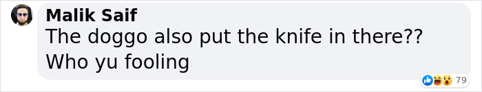 Corgi Gives His Owners And The Entire Internet A Mini Heart Attack After He Rolls Around In Red Syrup And Rests In The Mess Corgi Gives His Owners And The Entire Internet A Mini Heart Attack After He Rolls Around In Red Syrup And Rests In The Mess