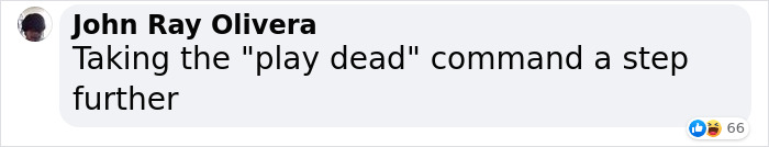 Corgi Gives His Owners And The Entire Internet A Mini Heart Attack After He Rolls Around In Red Syrup And Rests In The Mess