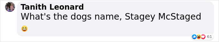 Corgi Gives His Owners And The Entire Internet A Mini Heart Attack After He Rolls Around In Red Syrup And Rests In The Mess Corgi Gives His Owners And The Entire Internet A Mini Heart Attack After He Rolls Around In Red Syrup And Rests In The Mess