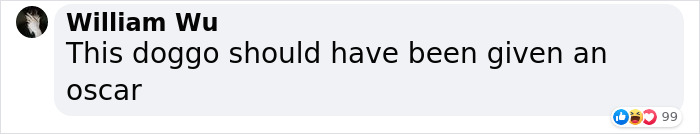 Corgi Gives His Owners And The Entire Internet A Mini Heart Attack After He Rolls Around In Red Syrup And Rests In The Mess Corgi Gives His Owners And The Entire Internet A Mini Heart Attack After He Rolls Around In Red Syrup And Rests In The Mess