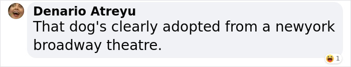 Corgi Gives His Owners And The Entire Internet A Mini Heart Attack After He Rolls Around In Red Syrup And Rests In The Mess Corgi Gives His Owners And The Entire Internet A Mini Heart Attack After He Rolls Around In Red Syrup And Rests In The Mess