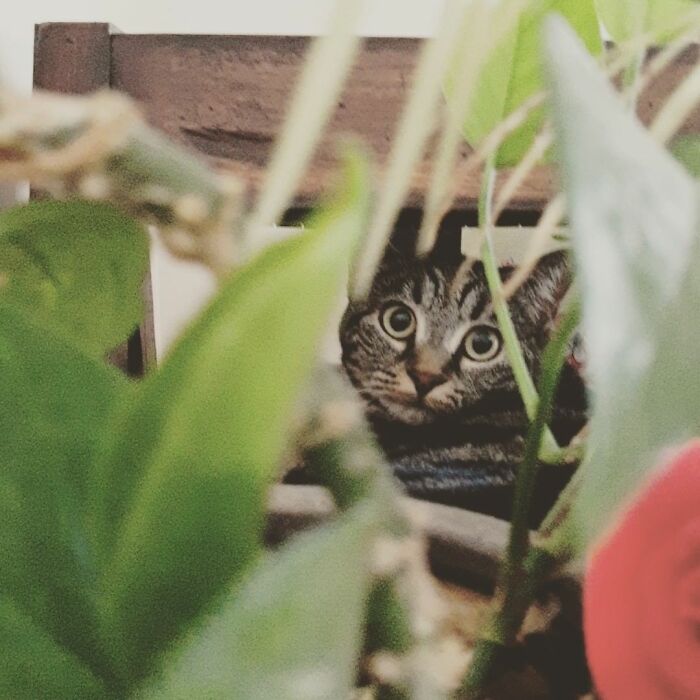 I Have So Many Pictures Of Her, I Couldnt Decide!