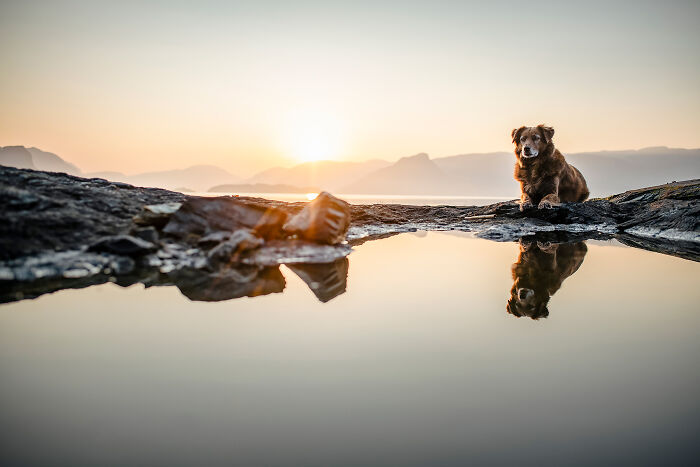 One Way Ticket To Paradise - I Will Take You On A Little Journey