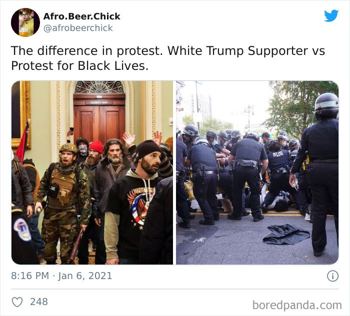 Blm-Capitol-Protests-Comparing