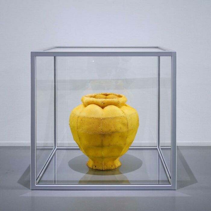 60,000 Bees Helped Create This Honeycomb Nefertiti Statue