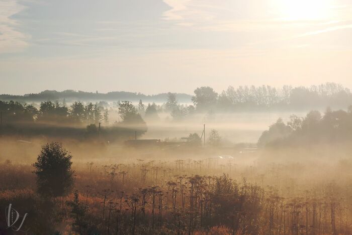 A Picture I Took 5 Years Ago And I'm Still Proud Of It Today, It Was Nominated For My Local Photography Contest