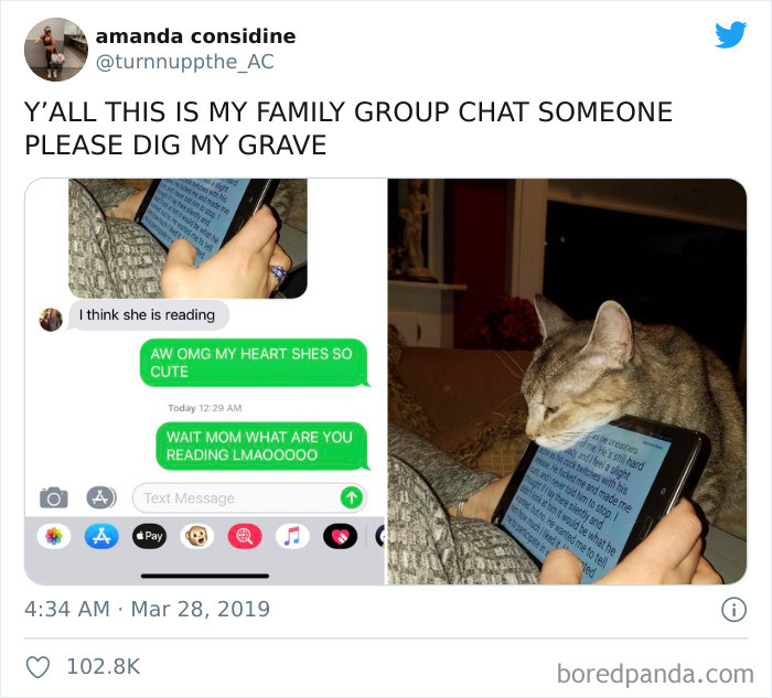 When Your Mom Accidentally Shares Erotica In The Family Chat