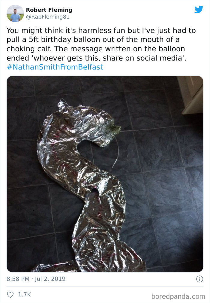 Another Human Forgetting That We Share This Planet