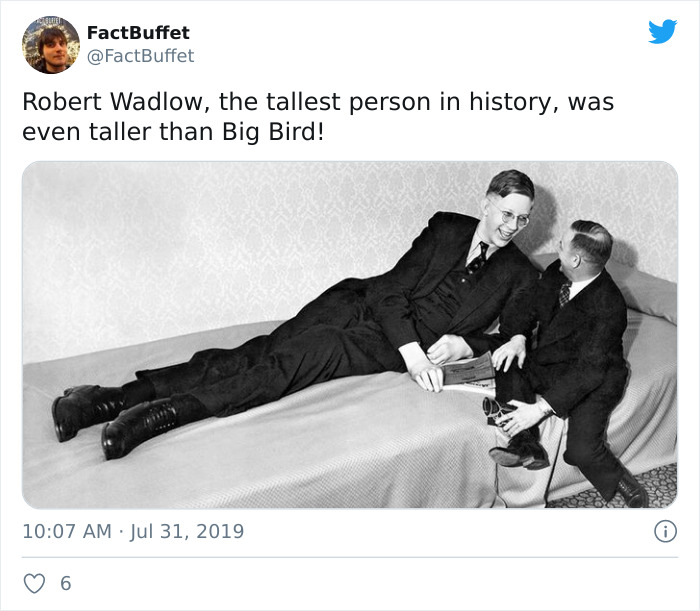 Bored Panda Gave A Huge Boost To My Twitter. That's A Fact.