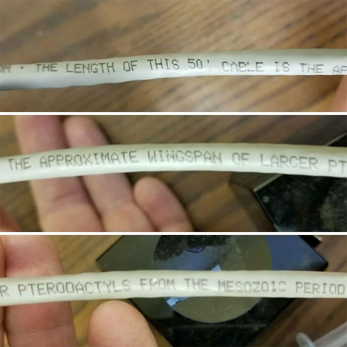 Found While Digging Through Some Old Cat5 Cables At Work