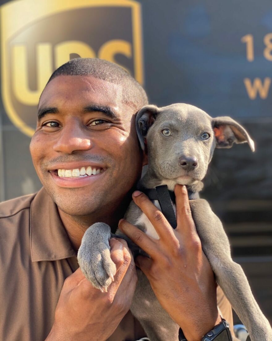 Delivery Man Continues To Take Breaks On The Way To Take Pictures And Pet The Dogs He Meets (New Pics)