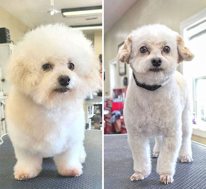 Wesley Is Looking Dapper After His Man-Glam Makeover With Talia