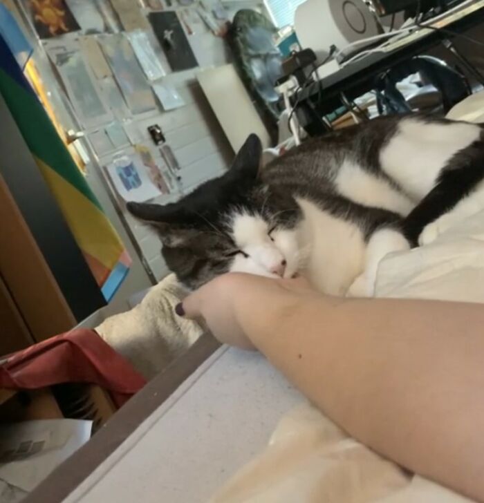 I Got Him From The Shelter, He Was Already Adopted Once But Brought Back Because He Has Anxiety Issues. This Is How He Likes To Fall Asleep