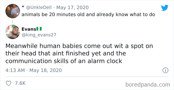 Human Race In Shambles