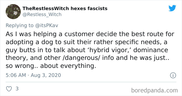 Dumbest-Mansplaining