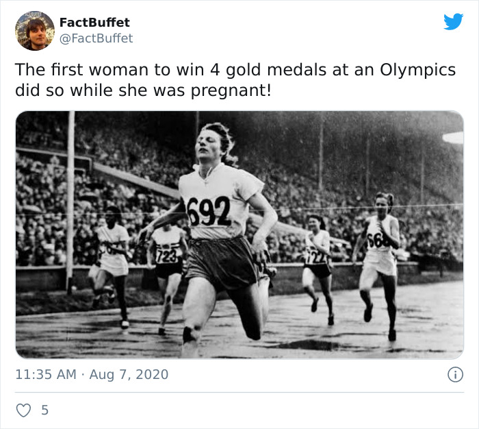 Bored Panda Gave A Huge Boost To My Twitter. That's A Fact.